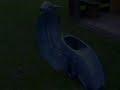 Vespa PX Part 1