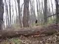 Hurl Towards Log (Then Lift)