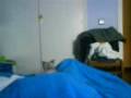 videos de EL FRIKY TO FRIKY