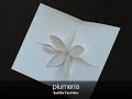 PLUMERIA- Easy to Make Pop-up Card