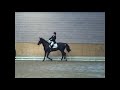 DRESSAGE AL CIRCOLO IPPICO BIBOP
