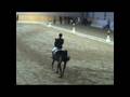 DRESSAGE AL CIRCOLO IPPICO BIBOP