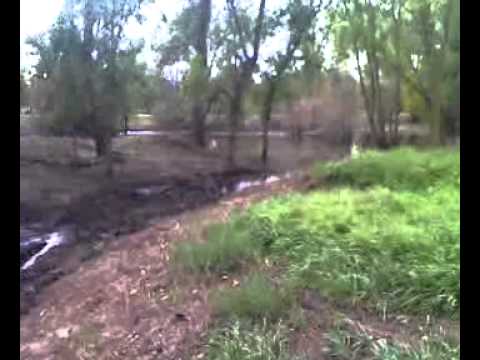 how to drain boggy land