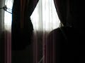 im so sick - flyleaf cover