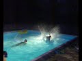 locura en la piscina  boadilla del monte 