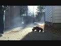 t-maxx t-maxx