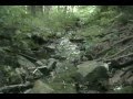 The Abandoned Tunnel
