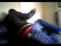 chris and dobbo fight part 1