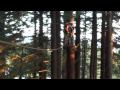 NCAC Sunset Canopy Tour, Segway Training, and Swimming a Rapid