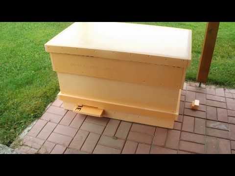 Как сделать улей из полистирола Как сделать улей из полистирола