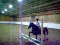 videos de Valmennus Kooste