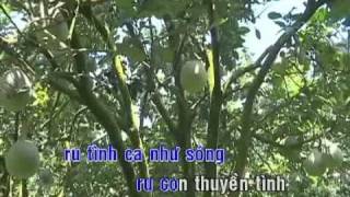Rước tình về với quê hương  – Cẩm Ly & Quốc Đại