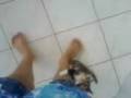 videos de Myucha com saldade