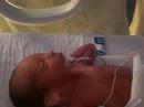 Fistuk is 1 day old - video 1