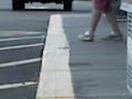 dollar bill fishing line 2