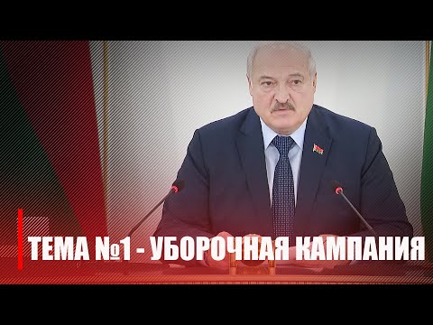 Александр Лукашенко провел селектор по вопросам проведения уборочной кампании видео