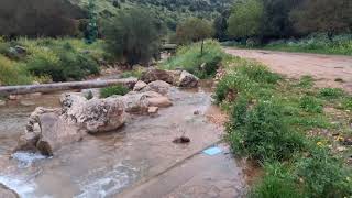 26 במרץ 2021 / נחל דישון תחתון / وادي ديشون السفلي / الحنداج / 26 במרץ 2021 / נחל דישון תחתון / وادي ديشون السفلي / الحنداج /