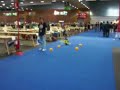 Nettby en la Euskal Encounter 16 - Cacho y su helicóptero
