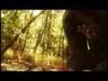 Insanity View Video