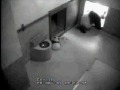 2009-11-20 Yun Zi: In and Out of Den By Himself!!!