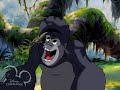 Tarzan is bitten by a poisonous spider and the gang must go to the top of the waterfall to find the antidote. Meanwhile, Terk is having a hard time getting accustomed to Jane.