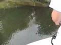 Black Pumpkin Shaker Bait (chatter type bait)