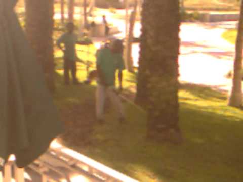 weed wacker 2