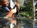 When you wish upon a star at sight of chord played in C.