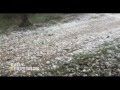 videos de Rally Provincial 08 - Alta Gracia