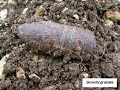 Verdun Teil 1 - Fundmunition, part 1: shells and granades