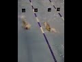 Trofeo Balnea - 100 ds uomini