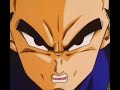 DBZ Goodbye