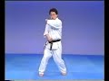 Kyokushin Blocks - Seiken Gedan Barai Kyokushin Blocks - Seiken Gedan Barai