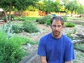 Soil Born Farms ~ WWOOF Tour NorCal Oh8! Soil Born Farms ~ WWOOF Tour NorCal Oh8!