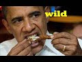 Nobama 2012 - America says NO! to Socialist Messiah - Democrats lose big in 2010 midterm elections