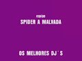 baile funk brasil   gaiola das popozudas   equipe spider