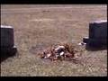 ED GEIN Gravesite