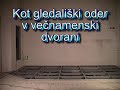 dvi?ne mize