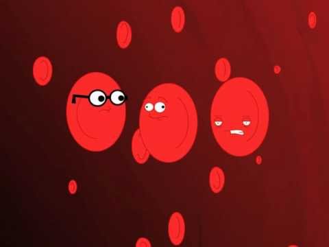 how to perform rbc count