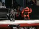 wrestling robots