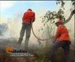 Incêndios - Leiria Cercada Pelo Fogo