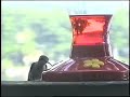 Humming bird Bear Humming bird Bear