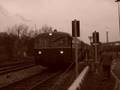 DGEG Schienenbus-Sonderfahrt Ruhrgebiet RBH bahn eisenbahn║ Railbus trip railroad