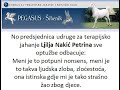 Udruga Pegasus