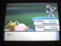 Pokemon pearl walkthrough part 11:eterna forest