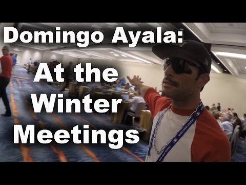 Domingo Ayala at the 2014 Winter Meetings