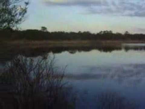 St. Andrews State Park Florida w/Olen Batchelor Part 2