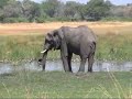 Sandibe in Okavango Delta with Botswana Odyssey