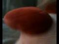 kirby danceing 1