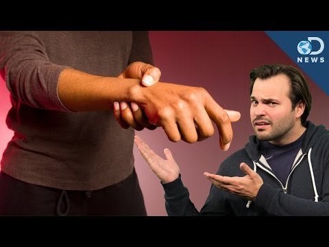 Knuckle - Your parents have probably told you a thousand times.
